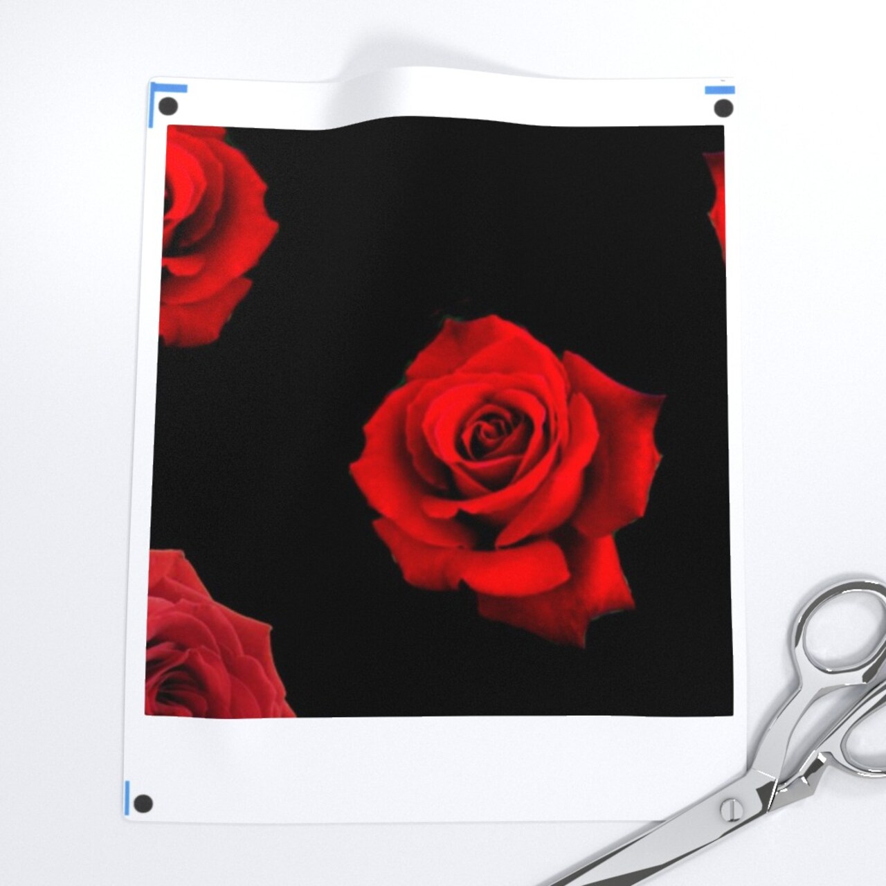 Scattered Red Roses Black Flowers Florals Fashion Custom Printed Fabric by Spoonflower Various Fabrics by the Yard or Fat Quarter